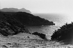 ORAN 02436
